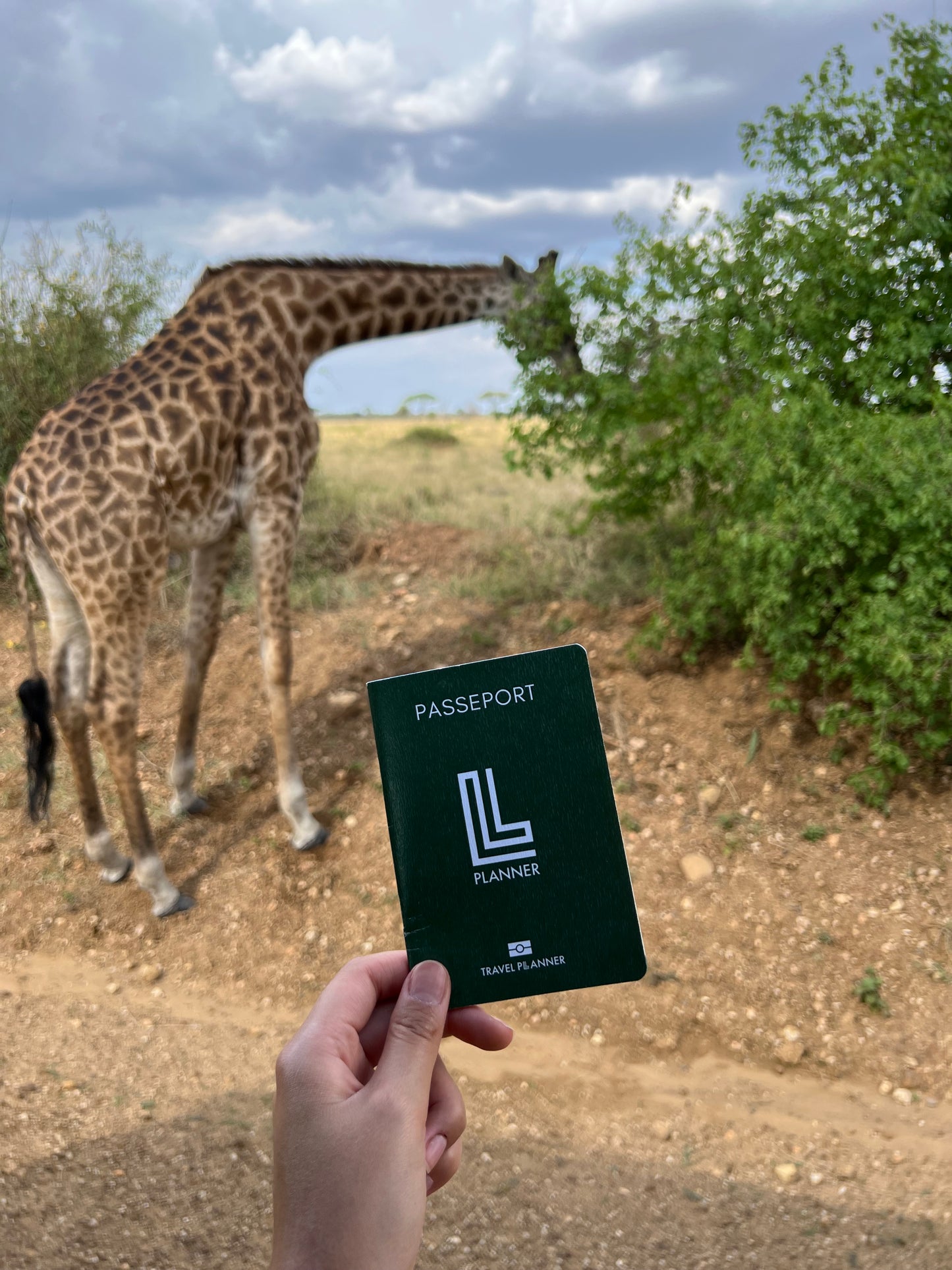 Passeport Tanzanie 🇹🇿 (pré-commande)