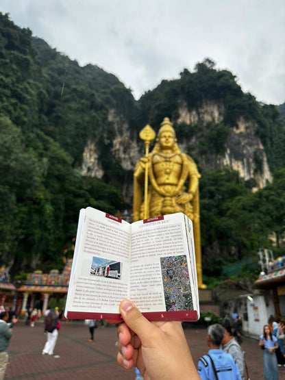 Passeport Malaisie 🇲🇾